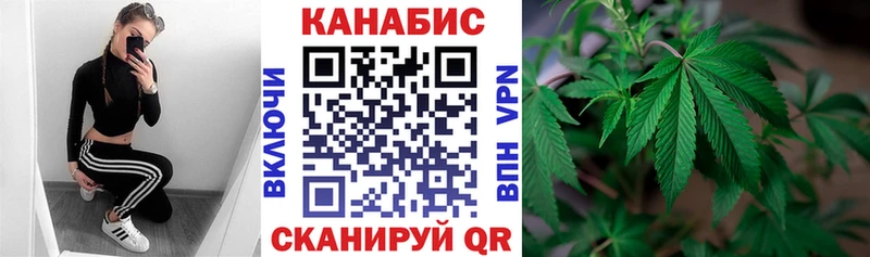 Конопля сатива  Купить  Вяземский 